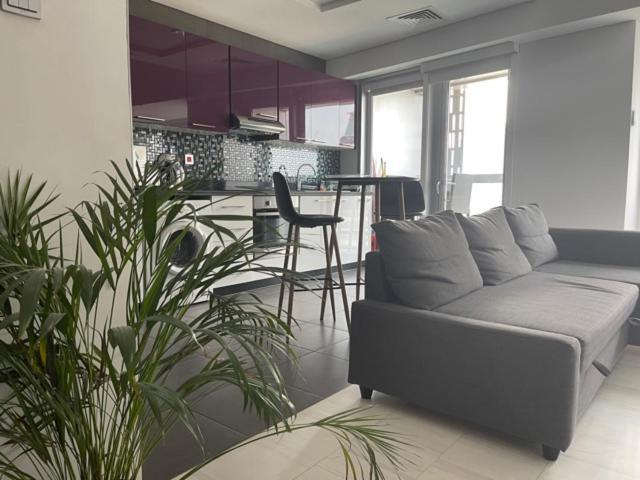 Cayan Tower Luxury Apartment With Sea View Dubai Exteriör bild